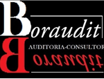 Boraudit